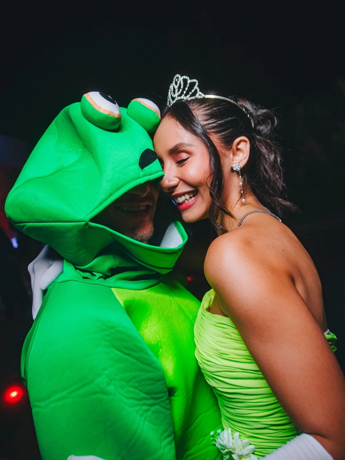 Casal sapo e princesa